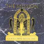 Love Me To Death by The Mission