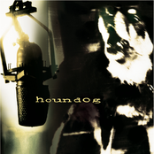 I Brought The Rain by Houndog