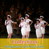 Collection