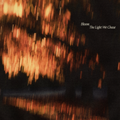 Bloom: The Light We Chase