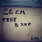 Тебе в ухо