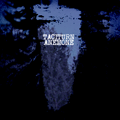 split with Anemone 12'' (2008)