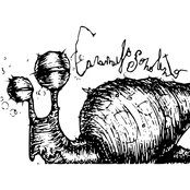 Rastejando entre Cogumelos