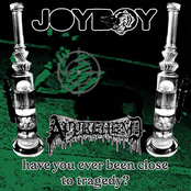 Joyboy/Apprehend Split