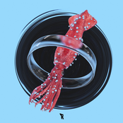 Squid Siren / Vacuum