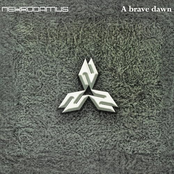 A brave dawn - RMST 2023