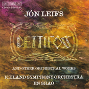 Leifs: Organ Concerto / Dettifoss / Variazioni Pastorale / Fine Ii