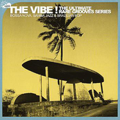 The Vibe! Vol. 8