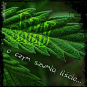 O Czym Szumia Liscie Bootleg