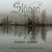 First snow (...the trees are praying before falling asleep)