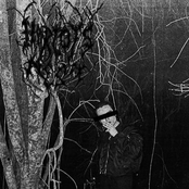 Memories Within The Night...