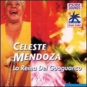 Recordare by Celeste Mendoza