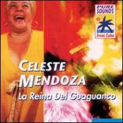 Lo Que Vale Mi Querer by Celeste Mendoza