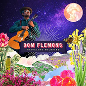 Dom Flemons: Traveling Wildfire