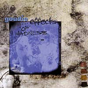 ...Effects Of Madness