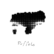 Buffalo