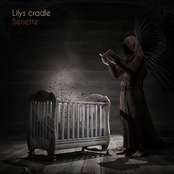 Lily's Cradle - Single