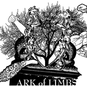 Ark Of Limbs