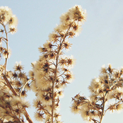 To Reach The Sunrise