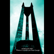 Wisdom to scramble your brains Lysergik