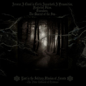 Lost In The Solitary Illusion Of Forests (Split)