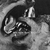 Wir rufen Deine Wolfe