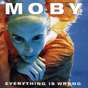 Moby: Everything Is Wrong