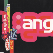 Tin Foil Valley [Disc 2]