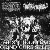 akurakus / matka teresa