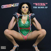 Werk (Remixes)
