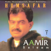 Humsafar (Vol. 2)