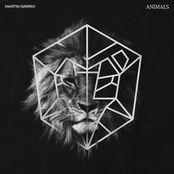 Martin Garrix: Animals