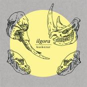 Ilgora
