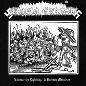 Embrace The Lightning - A Barbaric Manifesto