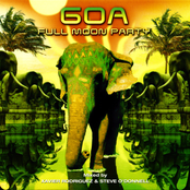 GOA Full Moon Party