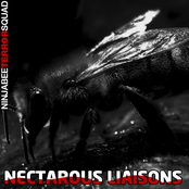 Nectarous Liaisons