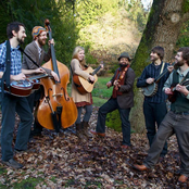 Renegade Stringband