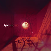 Album art for Rotoscope - Single by Spiritbox