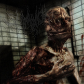 Skinned and Refleshed