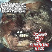 A Liquified Mess Of Putrefactive Fluids