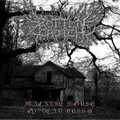 Macabre House Of Dead Pussy