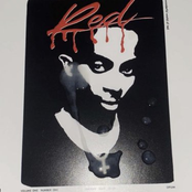 Maybe Sea Turles Are Real V2