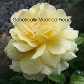 Genetically Modified Freud