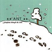 Footprints Through The Snow