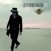 Pronto by Zucchero