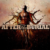 Rareform by After The Burial