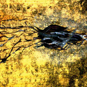 The Things That Are Keeping Me Alive... Are Killing Me