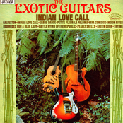 Red Roses For A Blue Lady by The Exotic Guitars