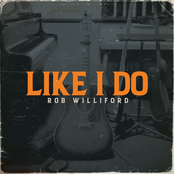 Like I Do - Single