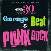 Ace 30th Birthday Celebration: Garage, Beat And Punk Rock
